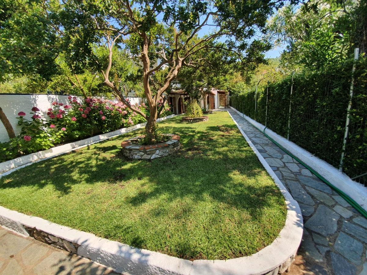 Dionisos Studios And Apts Skiathos 考考纳里斯 外观 照片