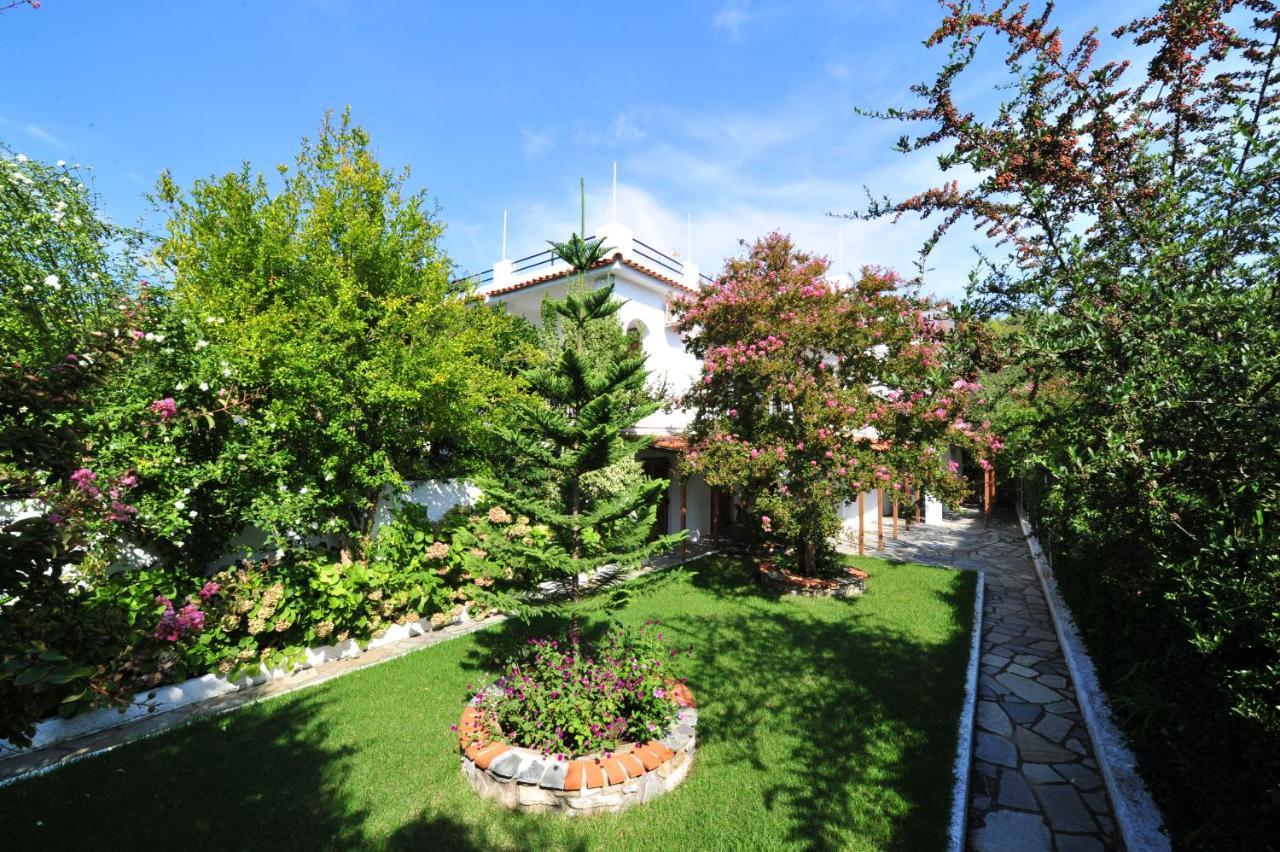 Dionisos Studios And Apts Skiathos 考考纳里斯 外观 照片